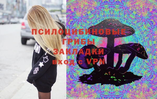 амф Осинники